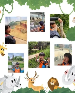 天王寺動物園へ🐘🦁🐻